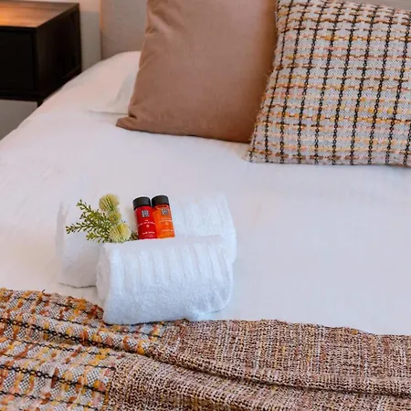 Apartment Luxurious In Town House Near The